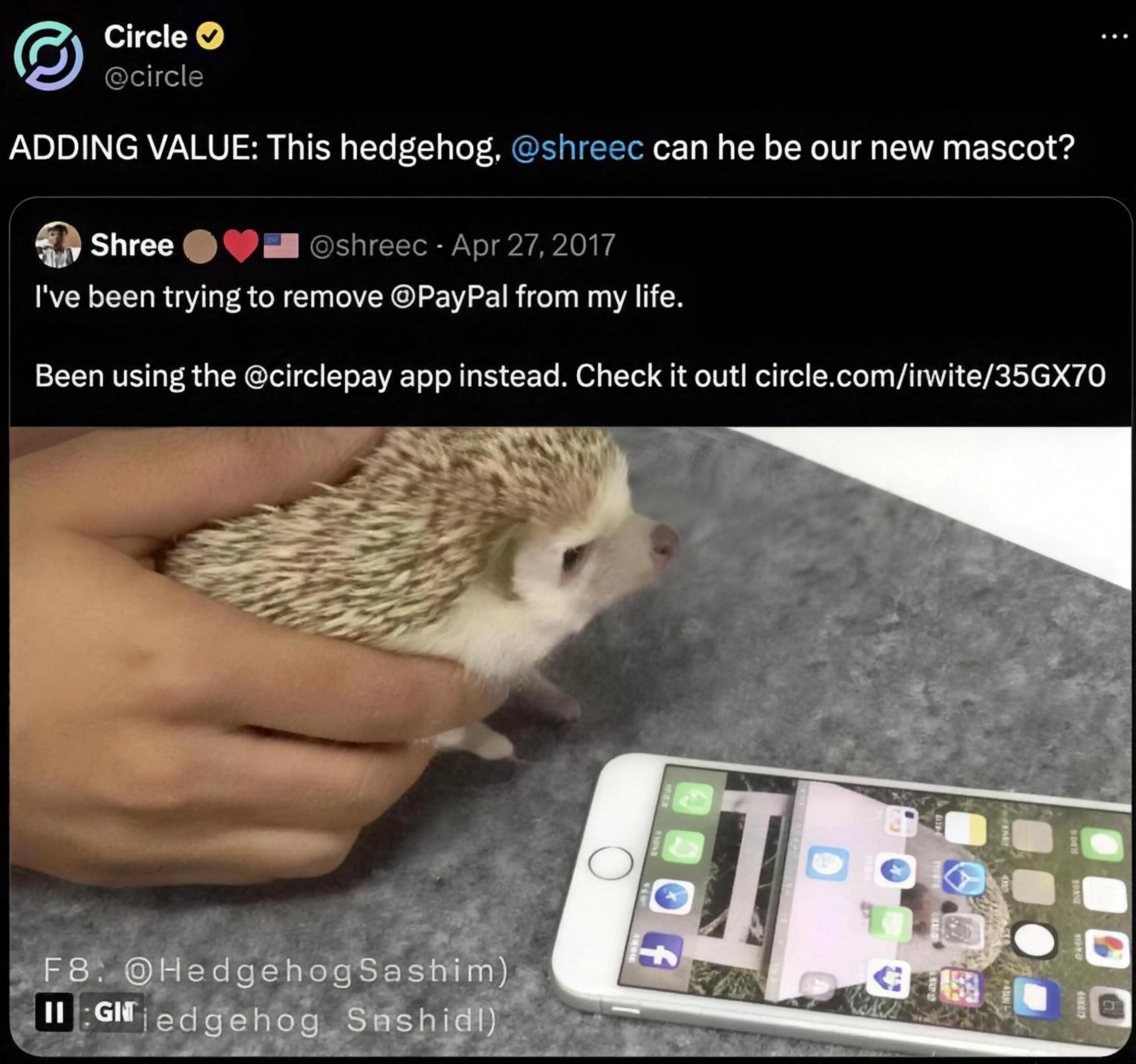 Archival capture of the original 2017 exchange — Circle asking if the hedgehog can be their mascot, quoting Shree's post with the Sashimi GIF